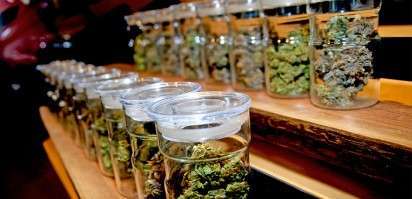 cannabis dispensary israel
is cbd legal in israel 2022
is cannabis legal in israel
