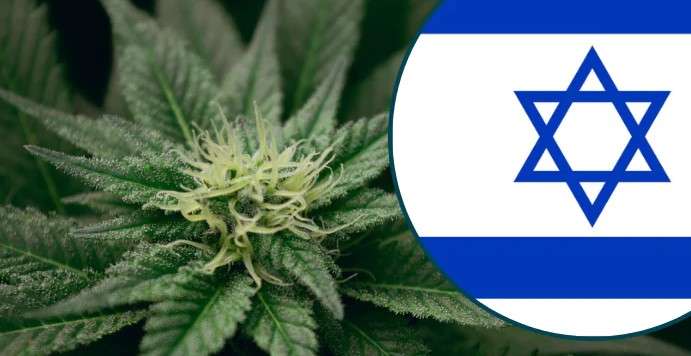 Buy weed in Jerusalem