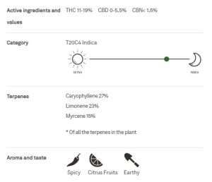 t15 strain