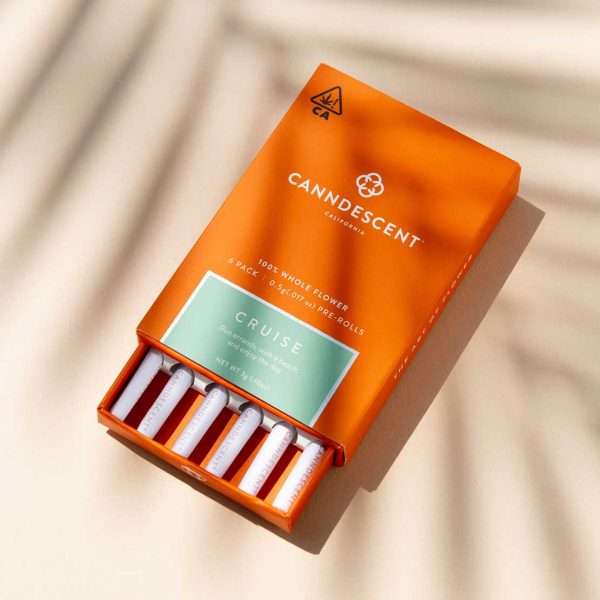 Canndescent Create 310 .5g Pre-roll 6 Pack - Image 3
