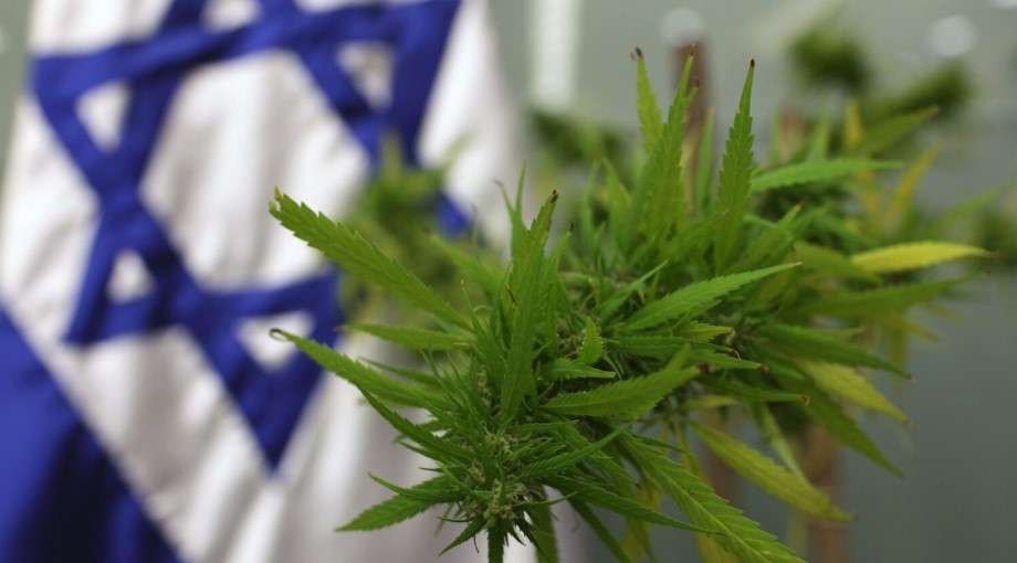 weed telegram israel
telegrass israel reddit
Buy weed with telegrass israel
telegrass cannabis israel
get cannabis with telegrass
reliable telegrass vendor israel