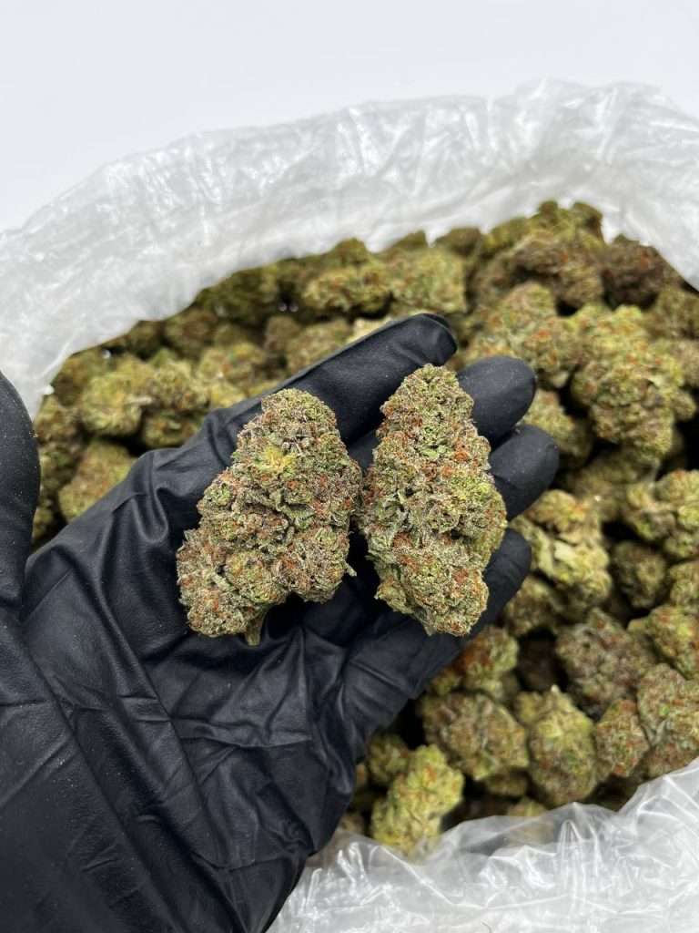where can i get weed in israel,
how to grow weed in israel,
where to get weed from israel,