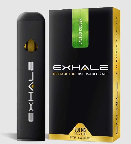 DELTA 8 VAPE PENS FOR SALE,Cannabis in Israel, ARE DELTA 8 THC VAPE CARTS LEGAL IN THE USA?,CBD in Israel, Traveling to Israel, Relaxation in Israel, Alternative wellness, Legal cannabinoids, Legal herbs in Israel, Traveler's guide to Israel,WHAT IS THE BEST DELTA 8 VAPE?,delta 8 carts online shop, cheapest delta 8 carts online ,buy delta 8 cartridges online, buy delta 8 carts online, lowest price delta 8 carts, delta 8 vape carts online, delta 8 thc cartridge cheap, buy delta 8 carts cheap,Are Delta 8 gummies legit?, What is the strongest Delta 8 edibles?,What is the best quality Delta 8 gummies?, Can Delta 8 gummies be shipped to Florida?, delta 8 vape pens for sale, delta 8 vape disposable, delta 8 vape pens online, delta 8 thc website,delta-8 vape side effects, delta 8 disposable vape pen 1000mg, delta 8 vape juice, delta 8 vape shop, vape pens for delta 8,delta 8 disposable pen,delta 8 vape pens online,delta 8 refillable vape pens,delta 8 thc disposable vape,delta 8 thc vape pens,disposable d8 vape pen,delta 8 vapes for sale,,