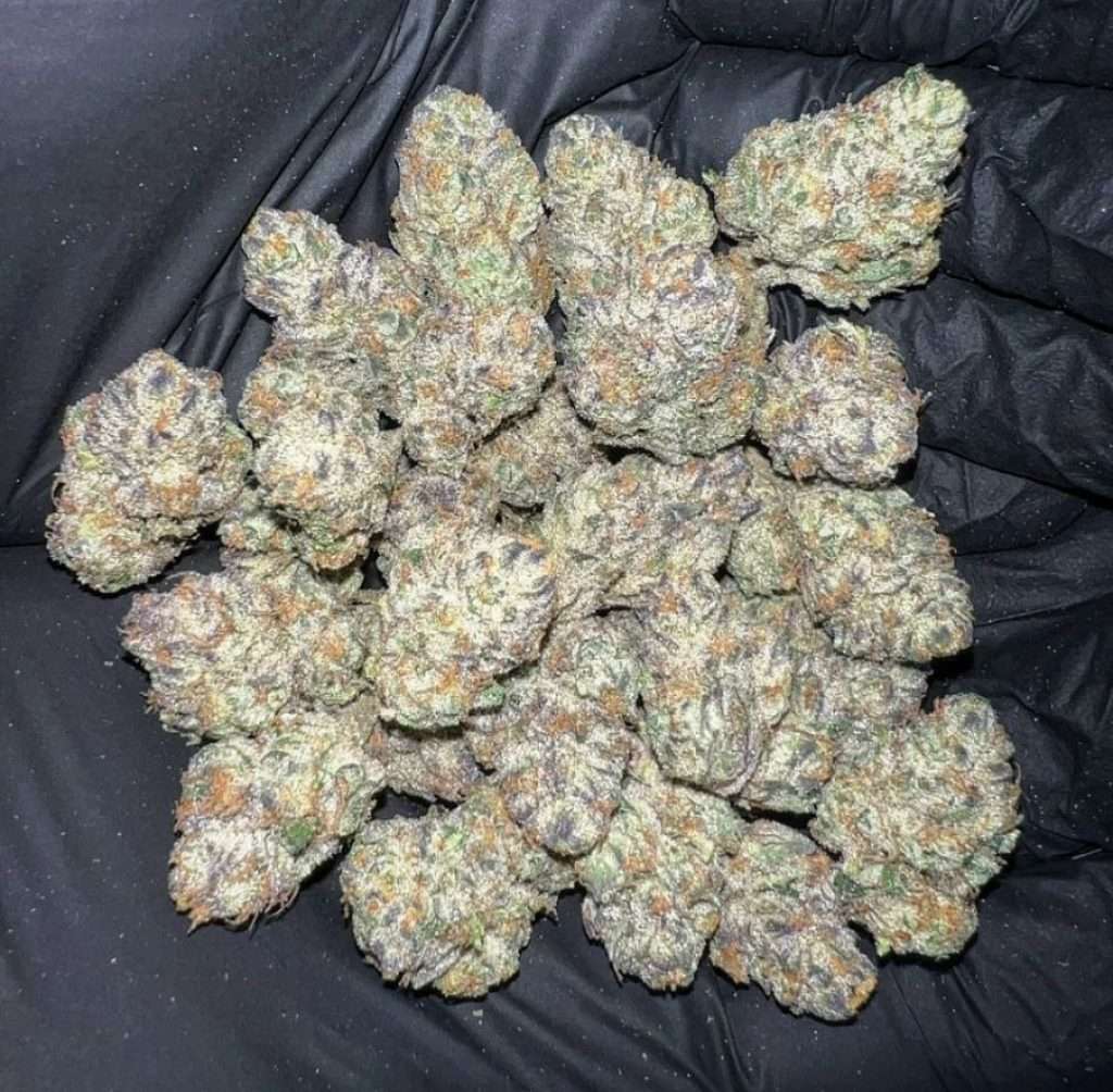How To Get Weed In EILAt?,How to get cannabis in EILAT 2024,Where to buy weed in EILAT 2024,things to do in eilat,things to do in eilat israel